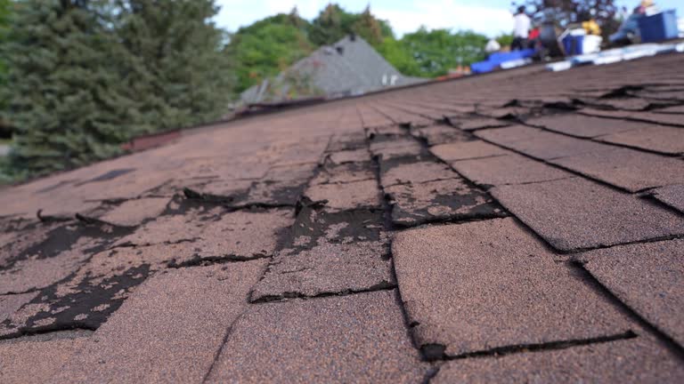 Asphalt Shingles Roofing in Cambridge, WI
